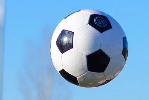 Пензенские тренеры повысят квалификацию в рамках нацпроекта «Демография»