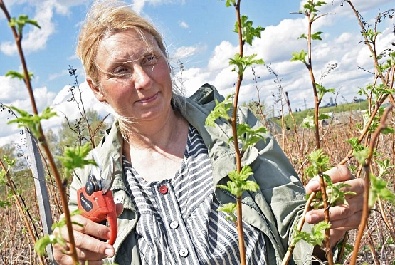 Москвичка переехала в Пензенскую область ради мечты о цветущем саде
