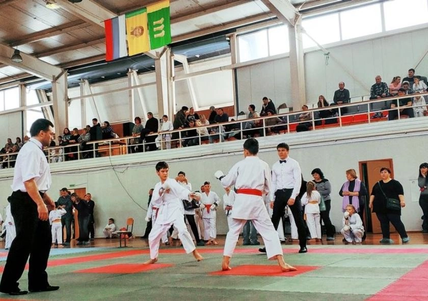 В Пензе пройдет открытое Первентво по всестилевому каратэ