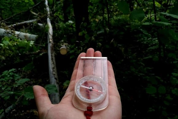 О жительнице Пензы ничего неизвестно с 16 сентября||Фото https://vk.com/la_penza В Пензенской области разыскивают 31-летнюю женщину в розовой куртке