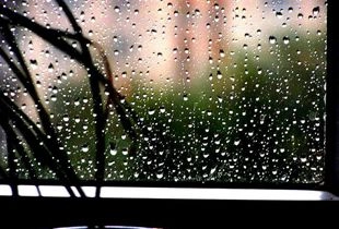 В Пензе на выходные прогнозируют дождь