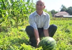 Болгарин из Молдовы выращивает на пензенской земле гигантские овощи