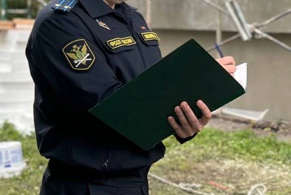 Агрессия в отношении представителя закона закончилась судом||Фото: r58.fssp.gov.ru Суд вынес приговор жителю Пачелмы, пытавшемуся надеть на пристава наручники