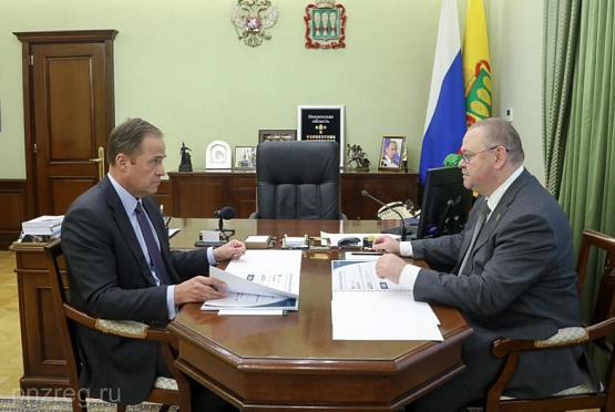 Комаров и Мельниченко обсудили социально-экономическое развитие Пензенской области