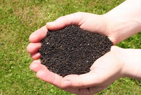 Пензенский агроном Валентина Александрова высказалась о биогумусе