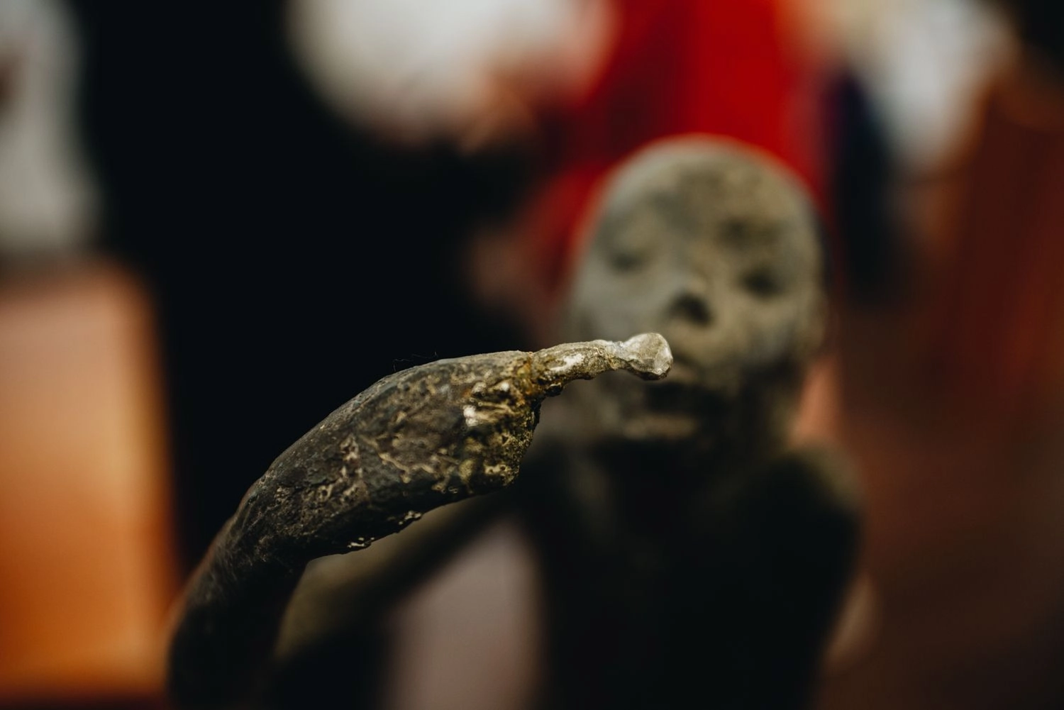 DSC_4030.jpg