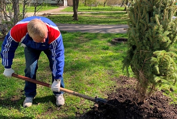 Фото penza-gorod.ru В пензенском сквере «Три гвоздики» высадили ели