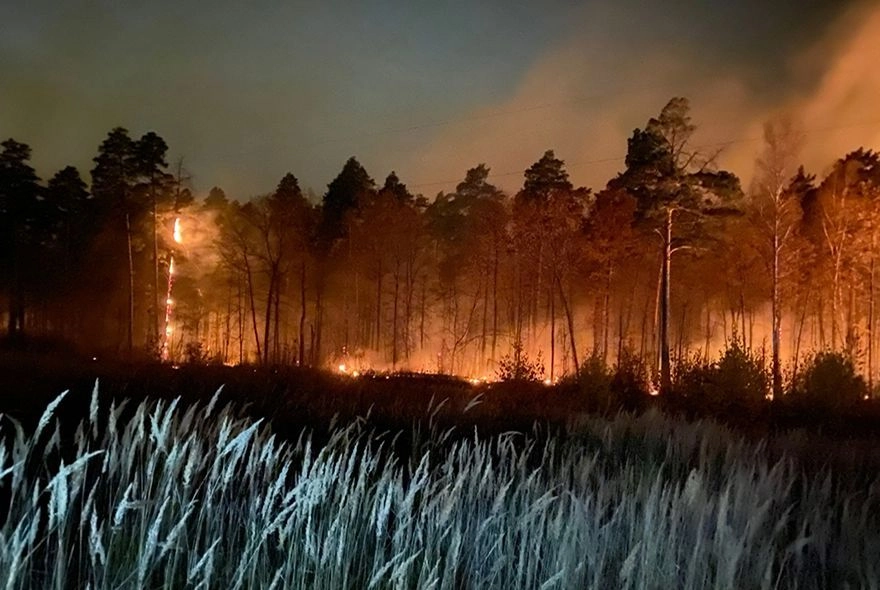 В Пензенском районе ликвидировали лесной пожар