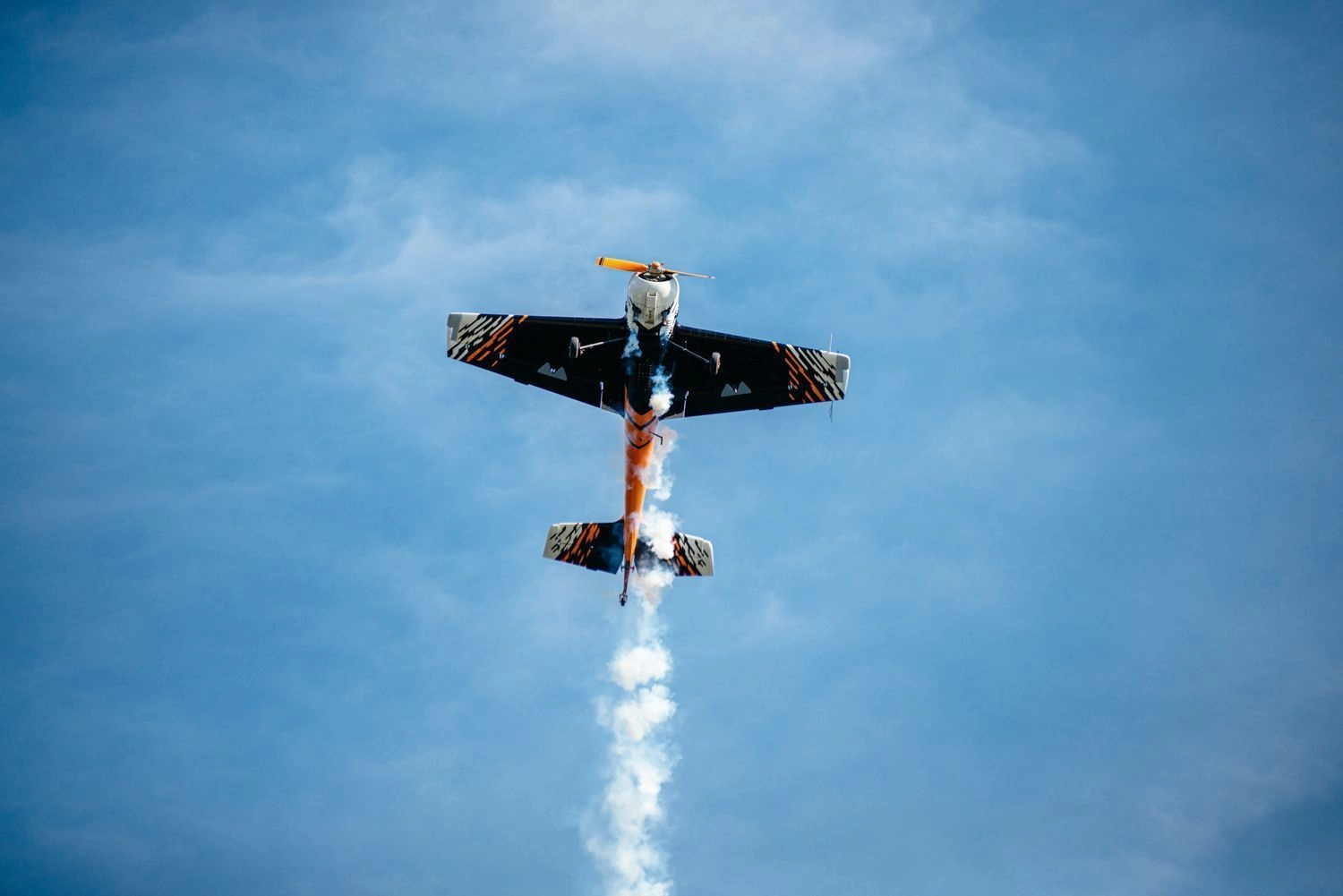 DSC_7539.jpg