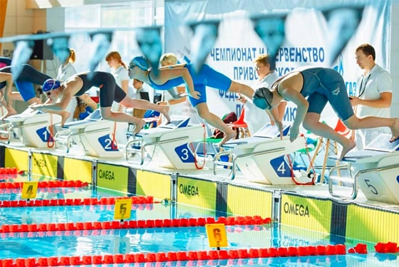 Пловцы Пензенской области завоевали 51 медаль на чемпионате и первенстве ПФО
