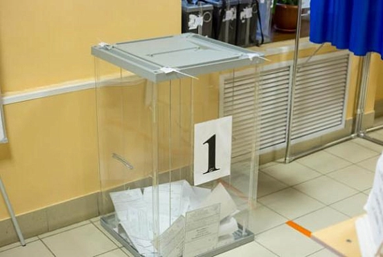 Избирком озвучил итоги голосования по поправкам в Пензенской области