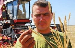 Пензенская область готова к уборке урожая Пензенская область готова к уборке урожая
