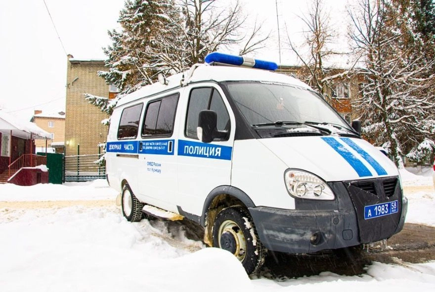 Лесная добыча может лишить пензенца свободы на 10 лет