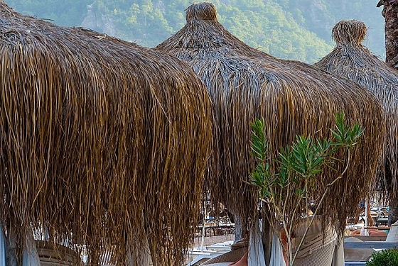 Скончалась доцент ПГУ Ольга Корабельникова