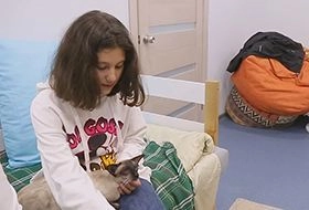 Лечение кошками в Пензе