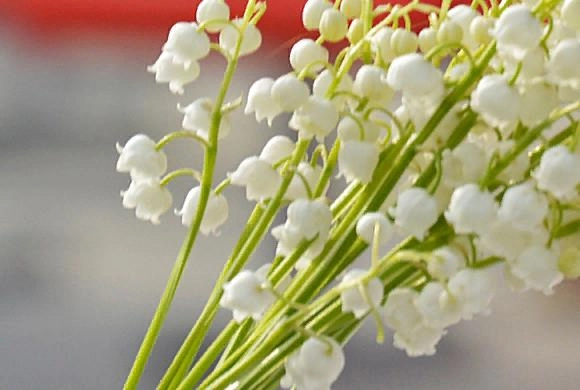 Фото В. Гришин В Пензе обсудили благоустройство Шуиста