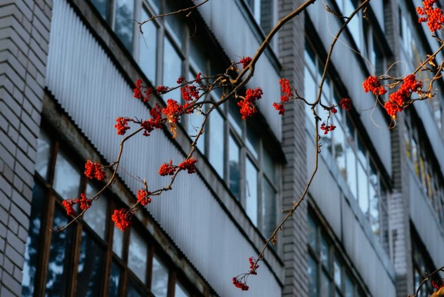 Пензенцам 27 ноября обещают погоду без осадков Пензенцам 27 ноября обещают погоду без осадков
