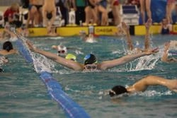 Пензенские пловцы снова призеры!