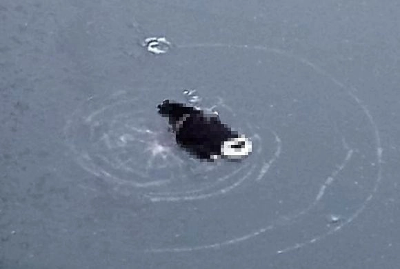 Фото instagram.com/penza_58rus  В Пензе на льду Суры нашли тело девушки