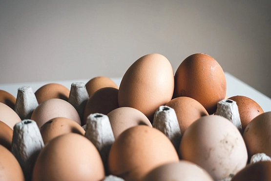 Министр рассказал о ситуации с куриными яйцами в Пензенской области