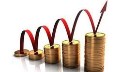 Внешнеторговый оборот Пензенской области вырос на 16,6%