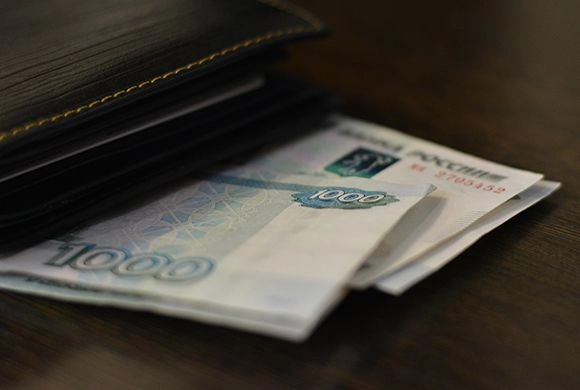 В Шемышейке суд прекратил дела о мошенничестве