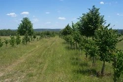 Пензенцы примут участие во Всероссийской экологической акции Пензенцы примут участие во Всероссийской экологической акции