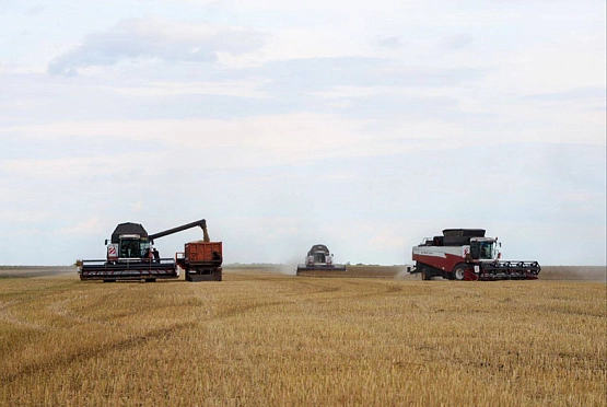 Аграрии Пензенской области собрали 3 миллиона тонн зерна