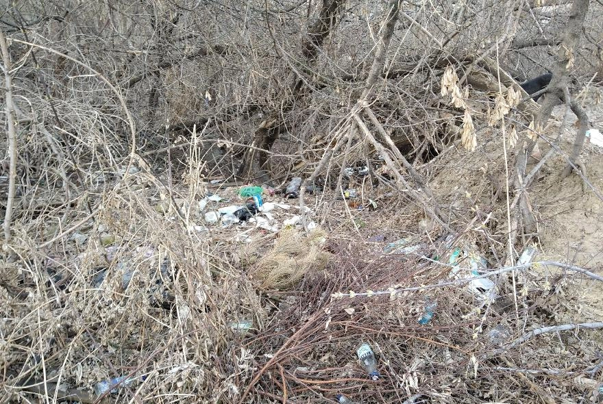 Пензенцы пожаловались на свалку около поликлиники №9