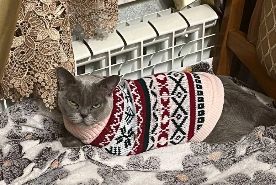 В Пензе обещают мороз до -32 градусов 25 января 2026