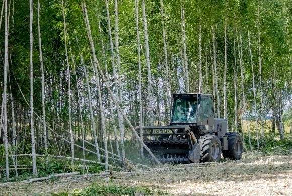 В Пензенской области заброшенные земли вернут в севооборот за 3 года