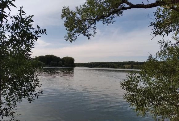 Алпатьево Ока. Перевицкий Торжок.