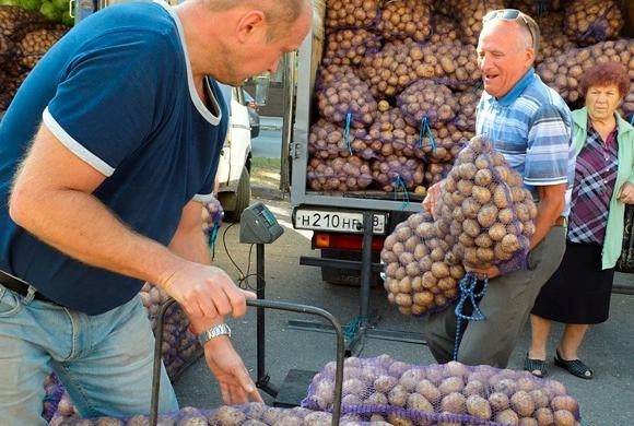 Фото В. Гришин Пензенцам лень выращивать картофель на огородах