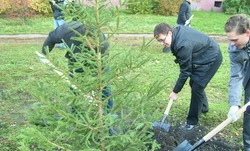 В Пензе появится еще одна Олимпийская аллея