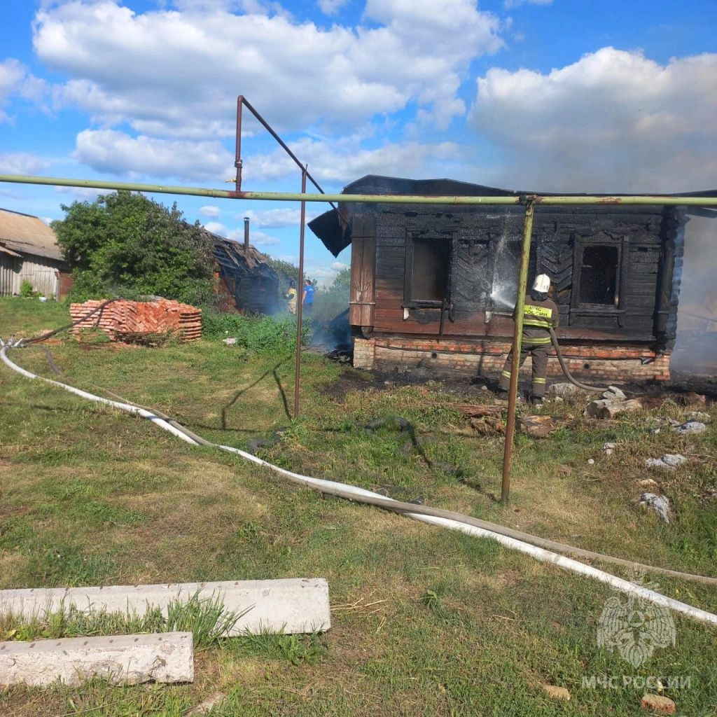 Пожар в Кроптово Бессоновского района (22.06.2024): фото, видео,  комментарии МЧС