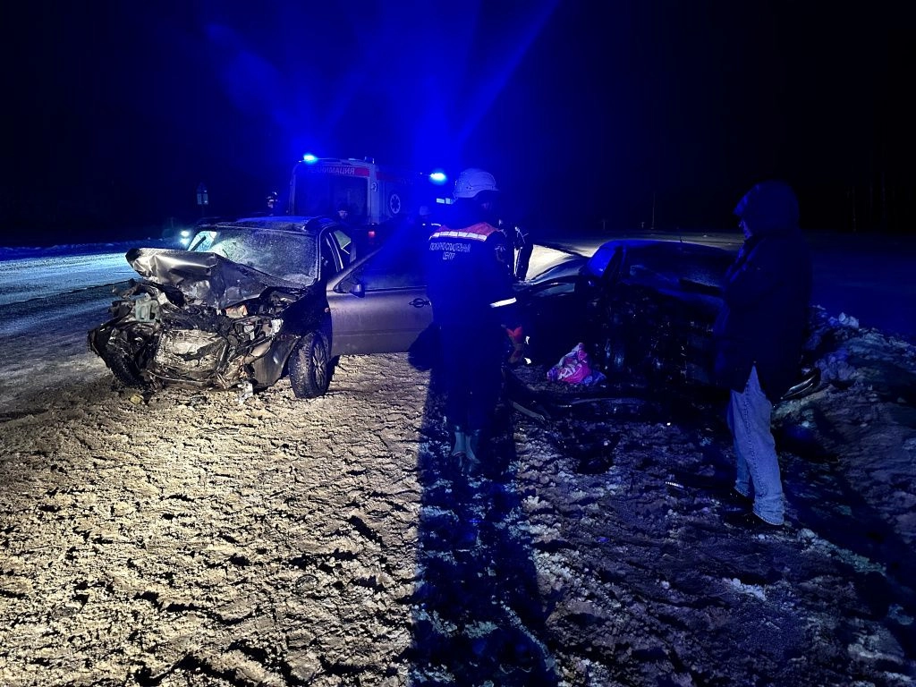 ДТП в Пензенском районе 29 декабря 2025 (5).jpg