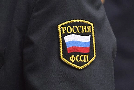 Житель Лунино осужден за угрозы судебному приставу