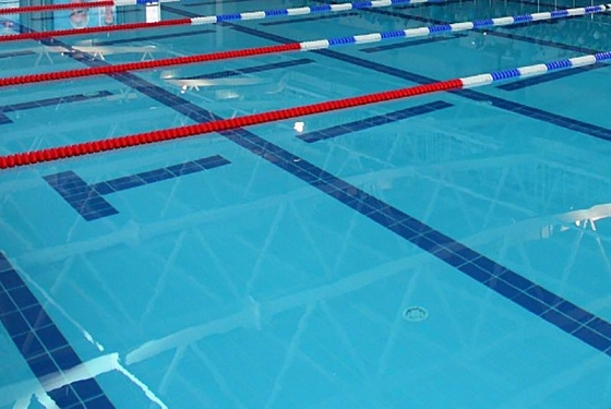 Пензенские юниоры завоевали медали первенства России по прыжкам в воду