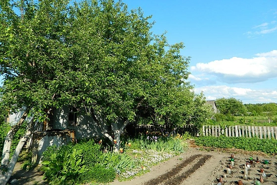 Дачный сезон в Пензе 2026: расписание автобусов, маршруты