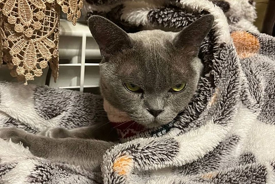 В Арбеково отключили отопление и горячую воду