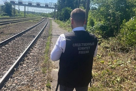 В Лунино женщина попала под поезд