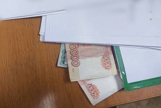 В Пензе иностранца осудили из-за взятки за пьяных друзей