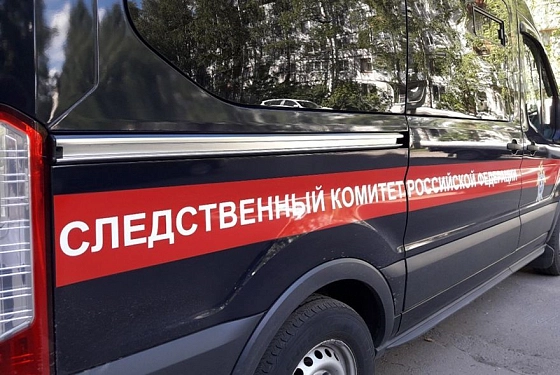 Бастрыкин взял на контроль дело об избиении Помогайбо
