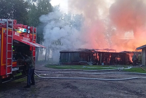 В Лунино пожарные отстояли жилые дома