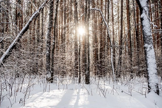 В Пензенской области изменили сроки весенней охоты