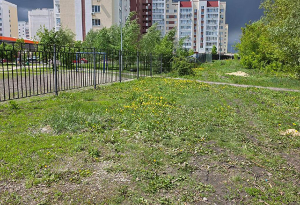 После вмешательства прокуратуры навели порядок