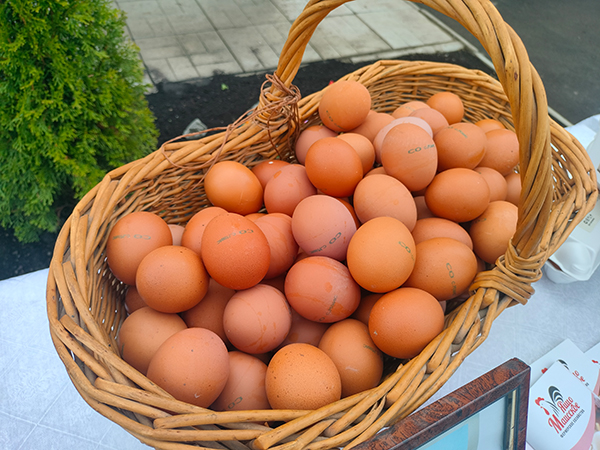 Продукцию производят с 1997 года