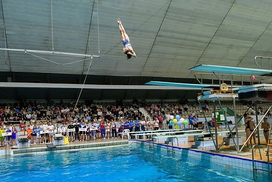 Пензенцы завоевали 13 медалей на всероссийских соревнованиях по прыжкам в воду